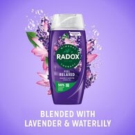 Radox Mineral Therapy Feel Relaxed Shower Gel 225 ml