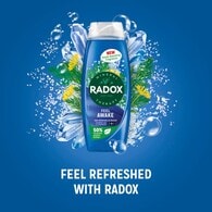 Radox Feel Awake 2-in-1 Shower Gel & Shampoo 450 ml