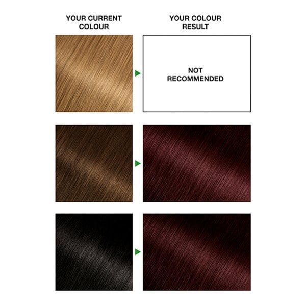 Garnier Nutrisse 3.6 Deep Reddish Brown Permanent Hair Dye