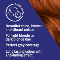 Live Colour  Caramel Copper 077