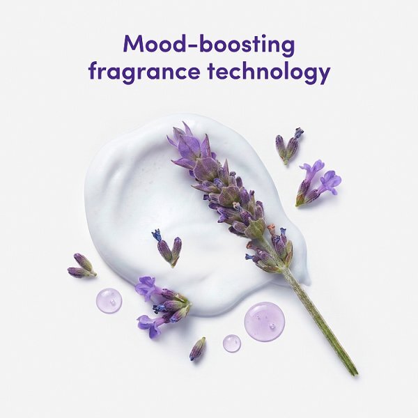 Dove Body Wash Body+Mind French Lavender & Oat Milk 350ml