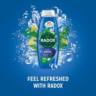 Radox Feel Awake 2-in-1 Shower Gel & Shampoo 675 ml