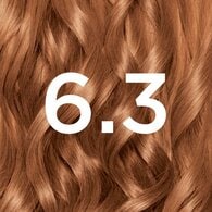 Garnier Nutrisse Permanent Hair Dye Golden Light Brown 6.3