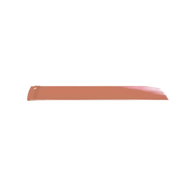 L’Oréal Paris Brilliant Signature Lip Ink 301 Be Determined