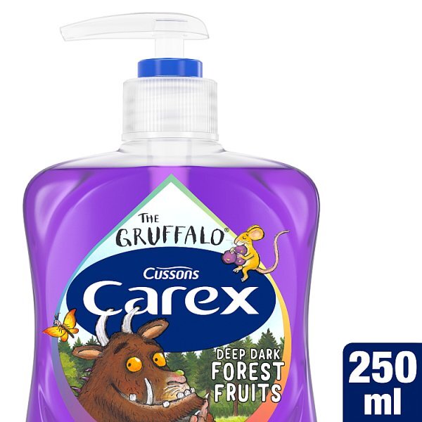 Carex Fun Editions Gruffalo Forest Fruits Handwash 250Ml