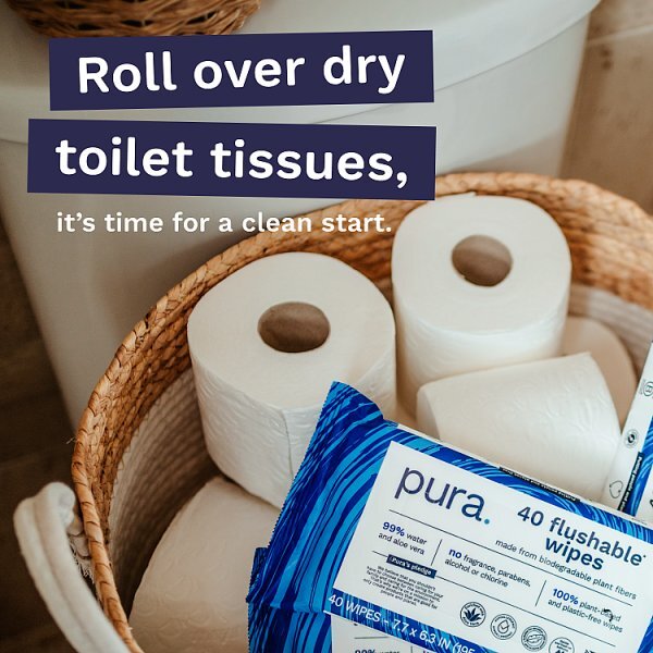 DNR Pura Premium Flushable Moist Toilet Tissue Wipes, 40 Wipes