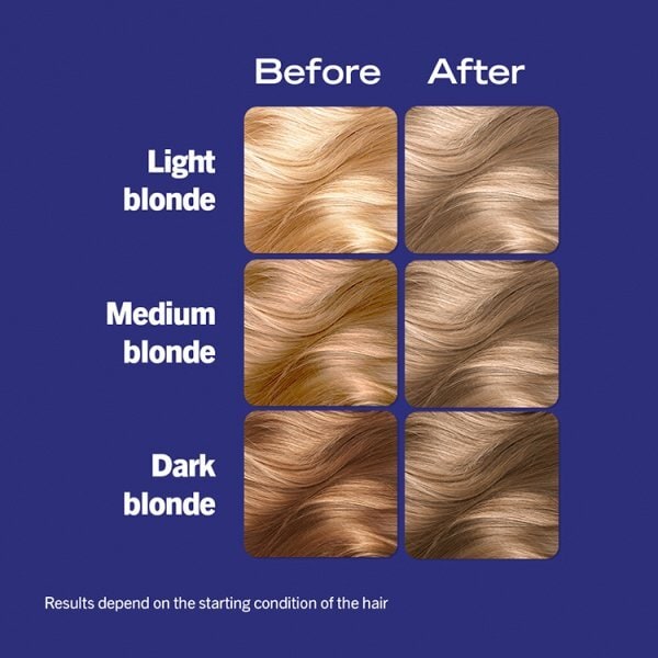 Live Colour  Honey Blonde B16