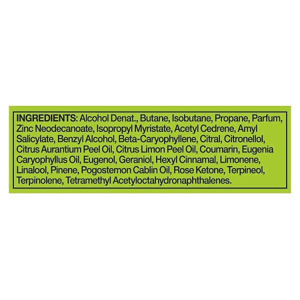 Lynx Deodorant Bodyspray Aerosol Epic Fresh 250ml