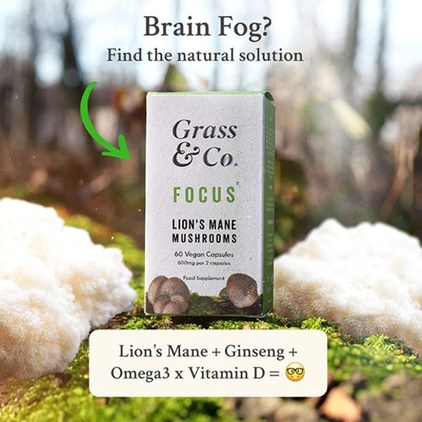 Grass & Co. Focus Lion's Mane Mushrooms Capsules