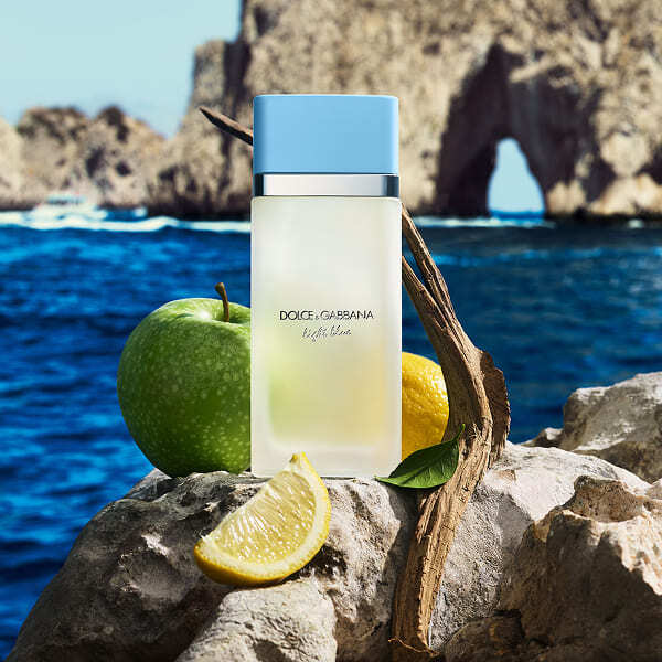 Dolce & Gabbana Light Blue Eau De Toilette 50ml for Her