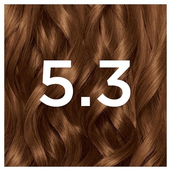 Garnier Nutrisse 5.3 Golden Brown Permanent Hair Dye