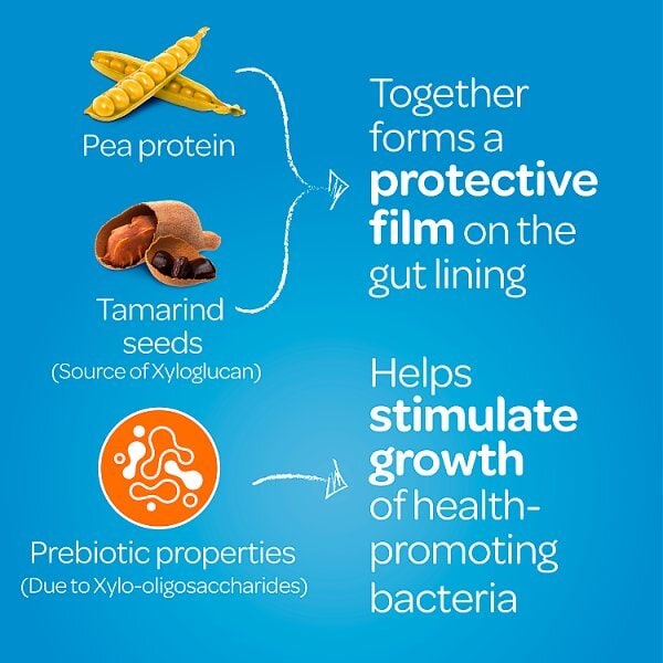 Fybocalm Diarrhoea Capsules 30S