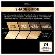 Preference Blondissimes 01 Lightest Natural Blonde Hair Dye