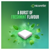 Nicorette® Freshmint 4mg Nicotine Gum 105s (Stop Smoking)