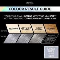 Preference Vivids (Colorista) Hair Dye Silver Grey 10.11