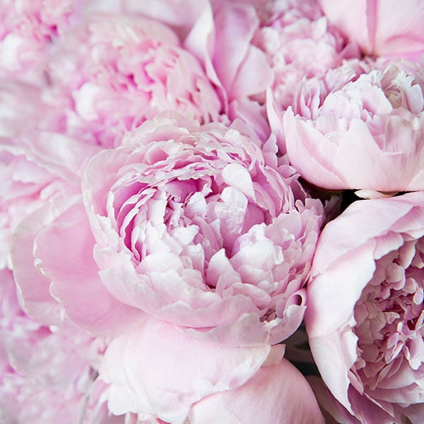 Calvin Klein Eternity Fresh Eau de Parfum 100ml