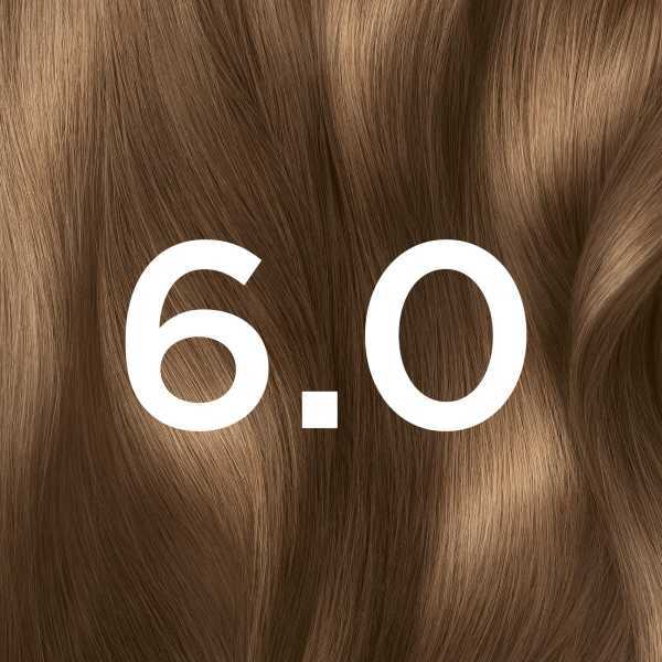Garnier Olia 6.0 Light Brown Permanent Hair Dye