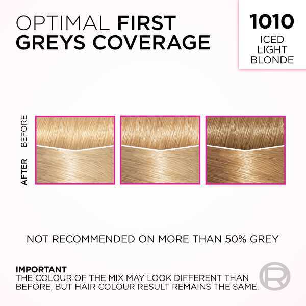 L'Oréal Casting Crème Gloss 1010 Iced Light Blonde Hair Dye