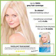 Garnier Nutrisse D+++ Bleach Lightener Permanent Hair Dye