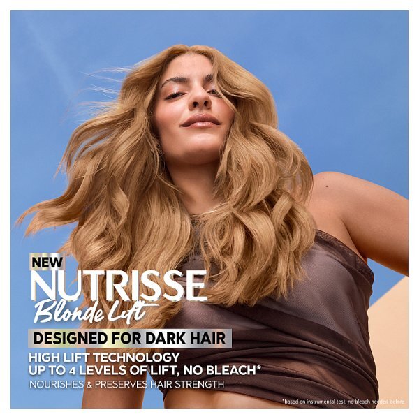 Garnier Nutrisse BlondeLift UL1 Chestnut Blonde Permanent Hair Dye