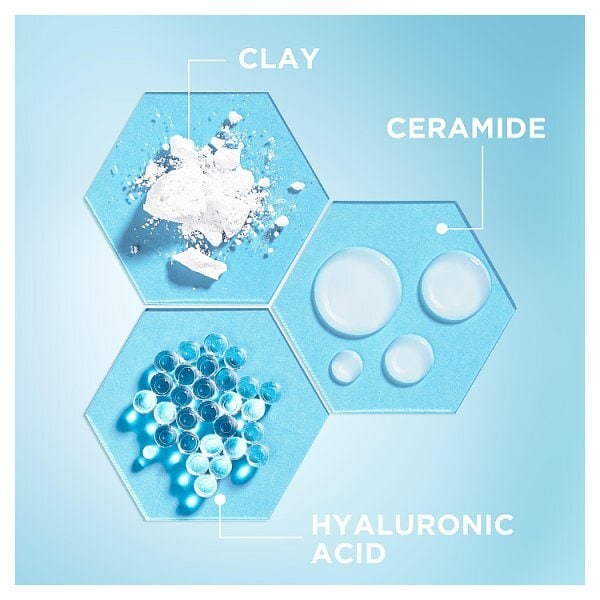 Garnier Salicylic Purifying Gentle Cleanser 250ml