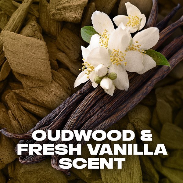 Lynx Gold Aerosol Body Spray 250 ml