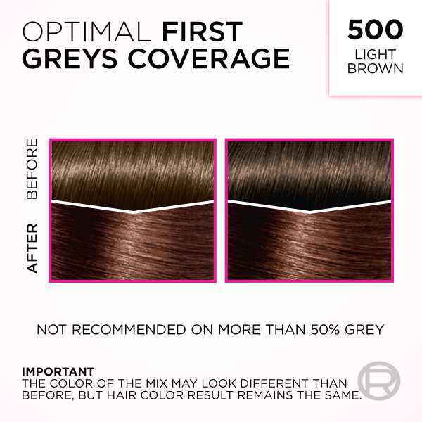 L'Oréal Casting Crème Gloss 500 Light Brown Hair Dye