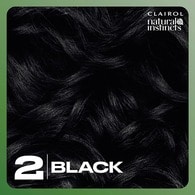 Clairol Natural Instincts Hair Dye 2 Black