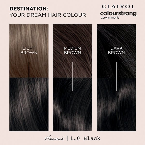 DNR Clairol Colour Strong Permanent Zero Ammonia Hair Dye Black