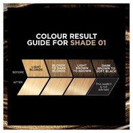 Preference Blondissimes 01 Lightest Natural Blonde Hair Dye