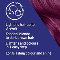 LIVE Colour + Lift Permanent Purple Hair Dye Ultra Violet