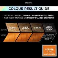 Preference Vivids (Colorista) Hair Dye Copper 7.43