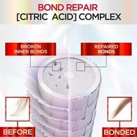 Elvive Bond Repair Bundle