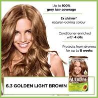 Garnier Nutrisse Permanent Hair Dye Golden Light Brown 6.3