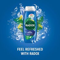 Radox Feel Awake 2-in-1 Shower Gel & Shampoo 450 ml