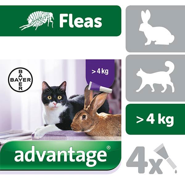 Advantage Flea Treatment 80 Spot For Large Cats & Rabbits