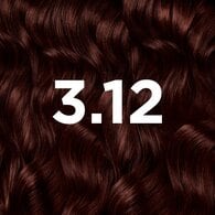 Garnier Good Permanent Hair Dye Blackberry Brown 3.12