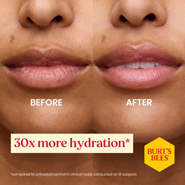 BurtS Bees Birthday Cake Lip Balm, 4.25G