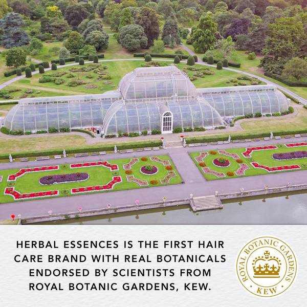 DNR Herbal Essences Sulfate Free Hair Conditioner Aloe &Hemp