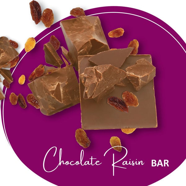 LighterLife Fast Chocolate Raisin Bar