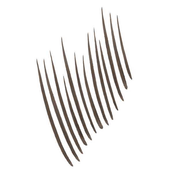 Maybelline Build A Brow 262 Black Brown