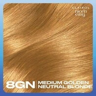 Clairol Nice'n Easy Hair Dye 8G Medium Golden Neutral Blonde