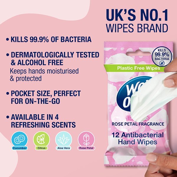 Wet Ones Be Cute Biodegradable Anti Bac Wipes