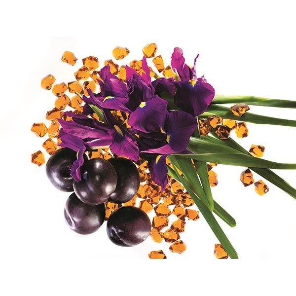 Marc Jacobs Decadence Perfume Eau de Parfum 50ml