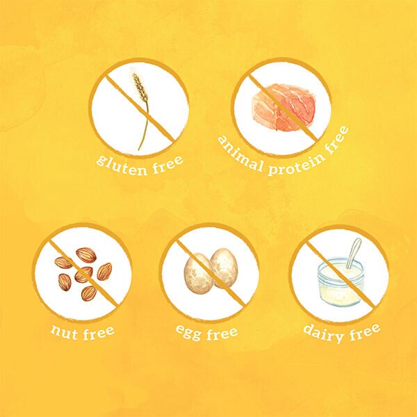 DNR Piccolo Organic Pear, Banana, Coconut & Baby Rice 4m+