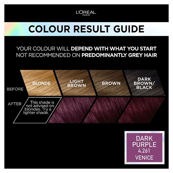 Preference Vivids (Colorista) Hair Dye Rose Dark Purple 4.26