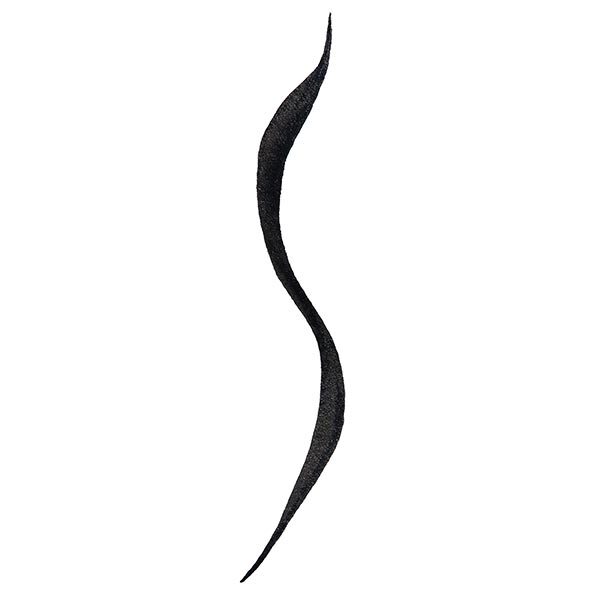 DNR Revolution Pro Supreme Black Flick Liner