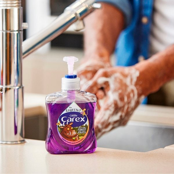 Carex Fun Editions Gruffalo Forest Fruits Handwash 250Ml