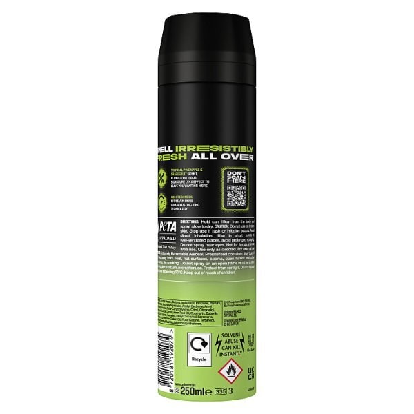 Lynx Deodorant Bodyspray Aerosol Epic Fresh 250ml