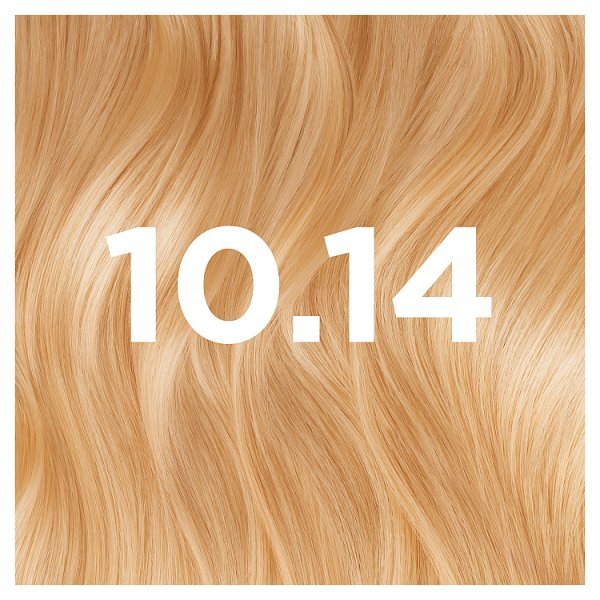 Garnier Good Permanent Hair Dye Chamomile Blonde 10.14